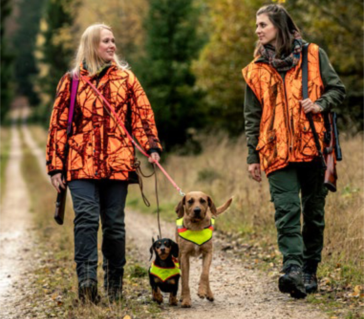 Mentor*innen und Hundeführer*innen gesucht! - ASP-KADAVERSPÜRHUNDE