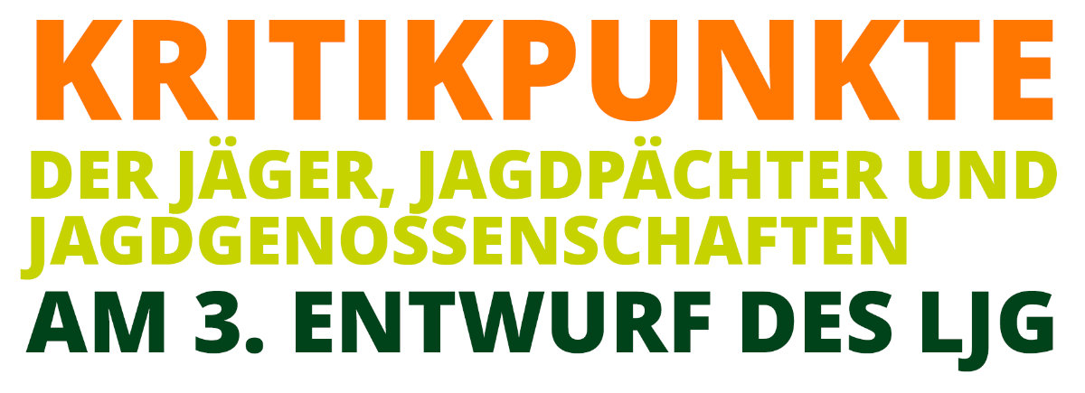 Kritikpunkte am 3. Entwurf des LJG