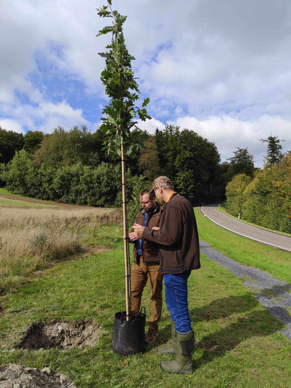 hegering waldbreitbach baum des jahres 2025 bild 2