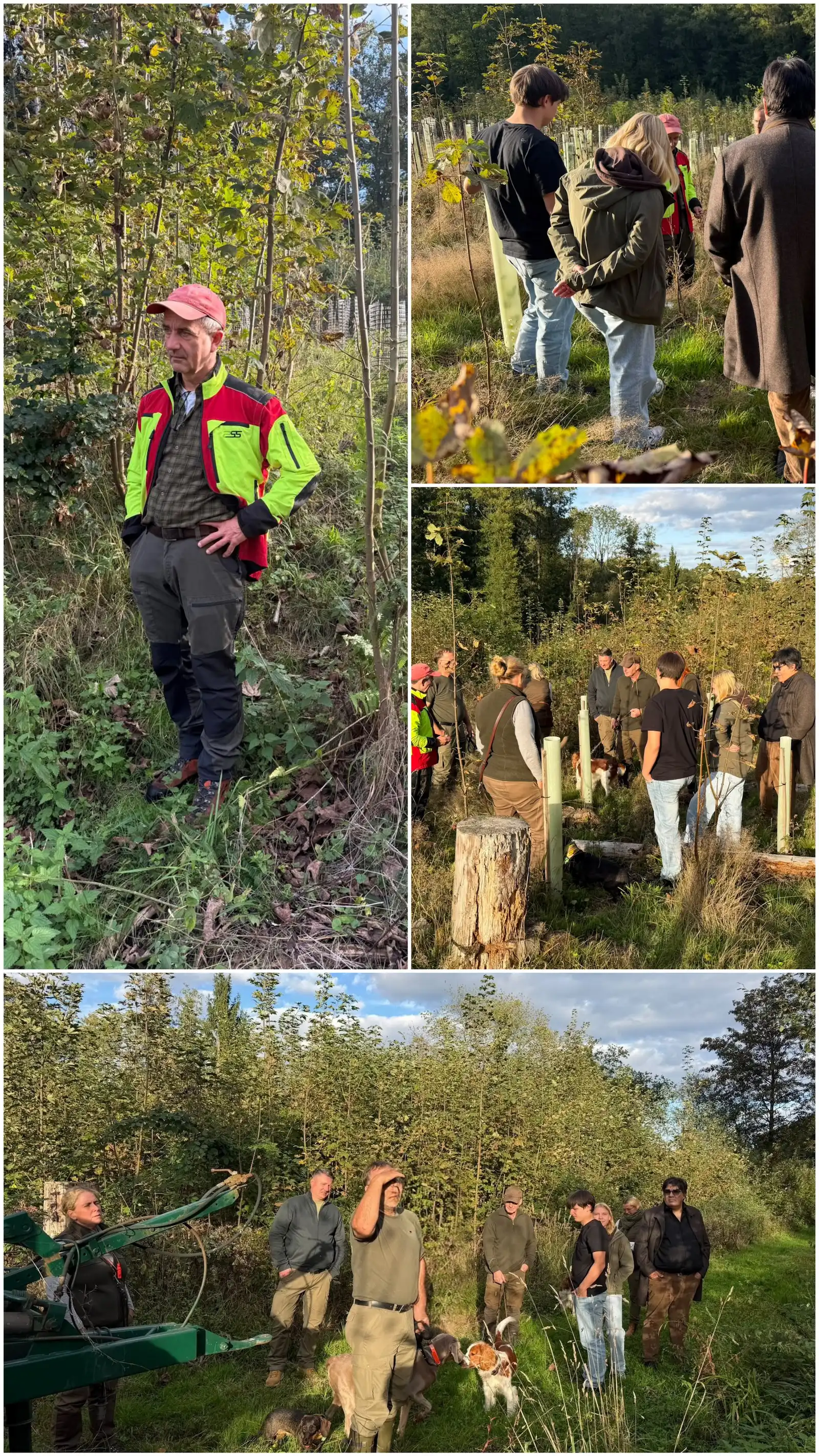 Seminar "Verbiss- und Schälschäden im Wald"